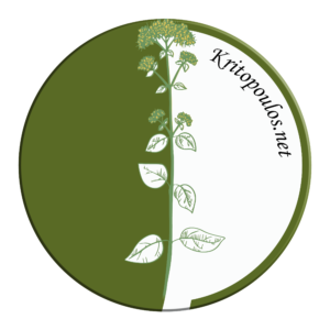 Kritopoulos